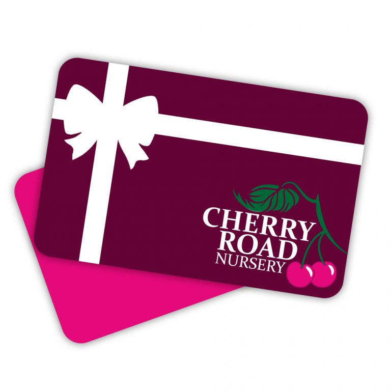 50-gift-card-cherry-road-nursery